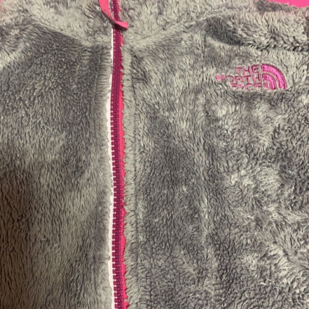 The north face fleece jacket